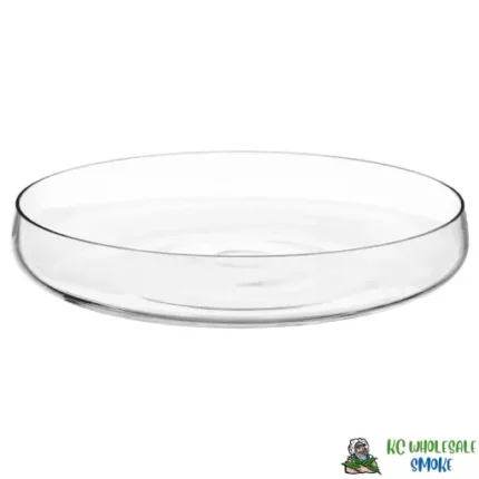 Basic Color Glass Bowl Clear