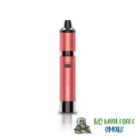Regen Vaporizer